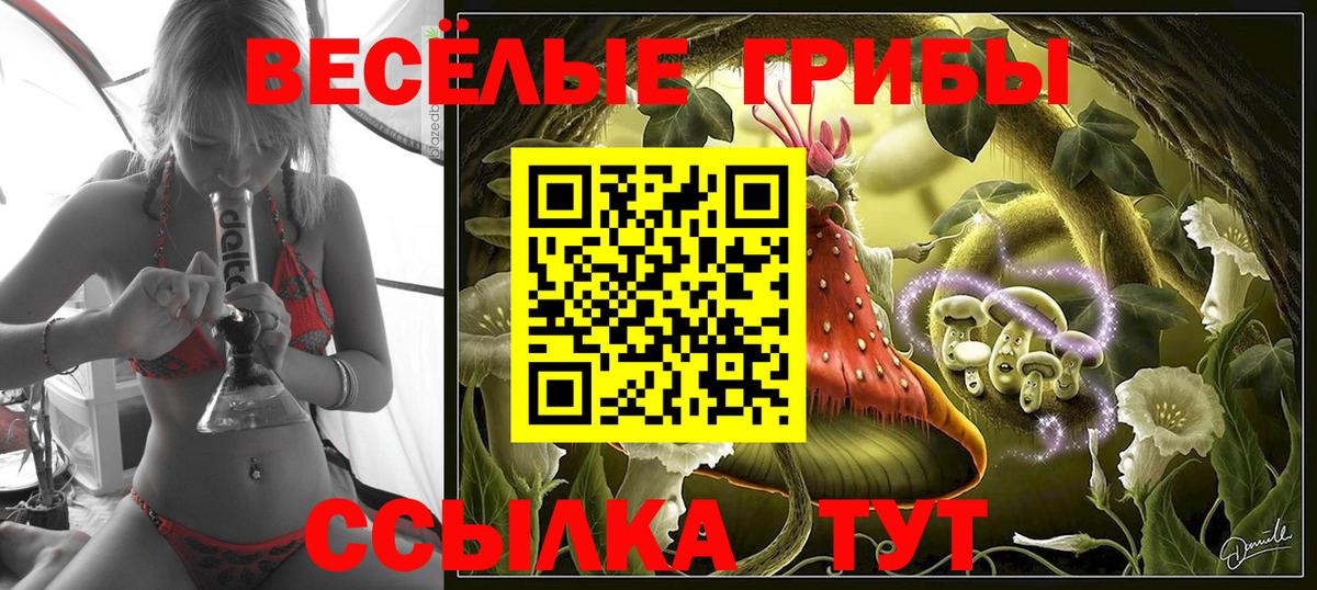 Дагестанские Огни  Галлюциногенные грибы Psilocybine cubensis  Вход с VPN 